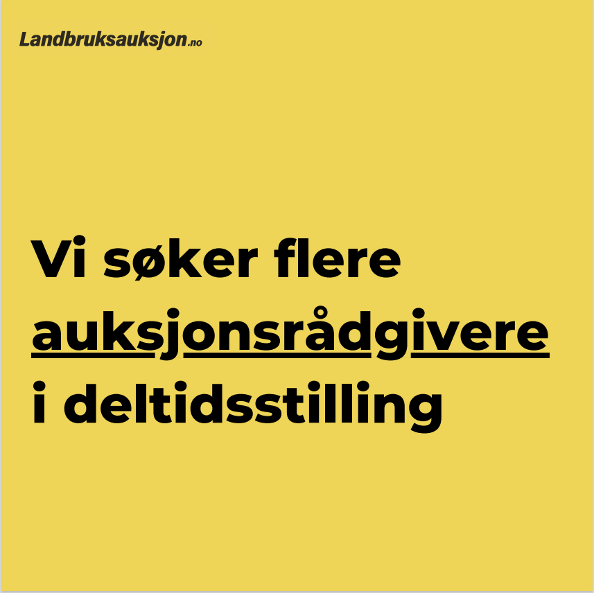 deltidsrådgiver