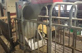 Lely kraftfôrautomat