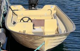 Rana 17 Fisk
