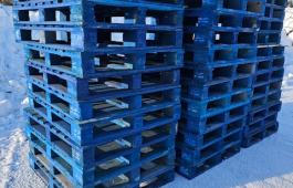 Paller Chep  120 stk med ekstra beskyttelse 