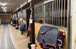 Boksinnredning til hest – Mva-fritt salg