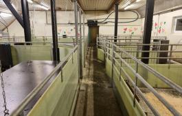 Glassfiberfjøsinnredning til gris fra kombinertdrift